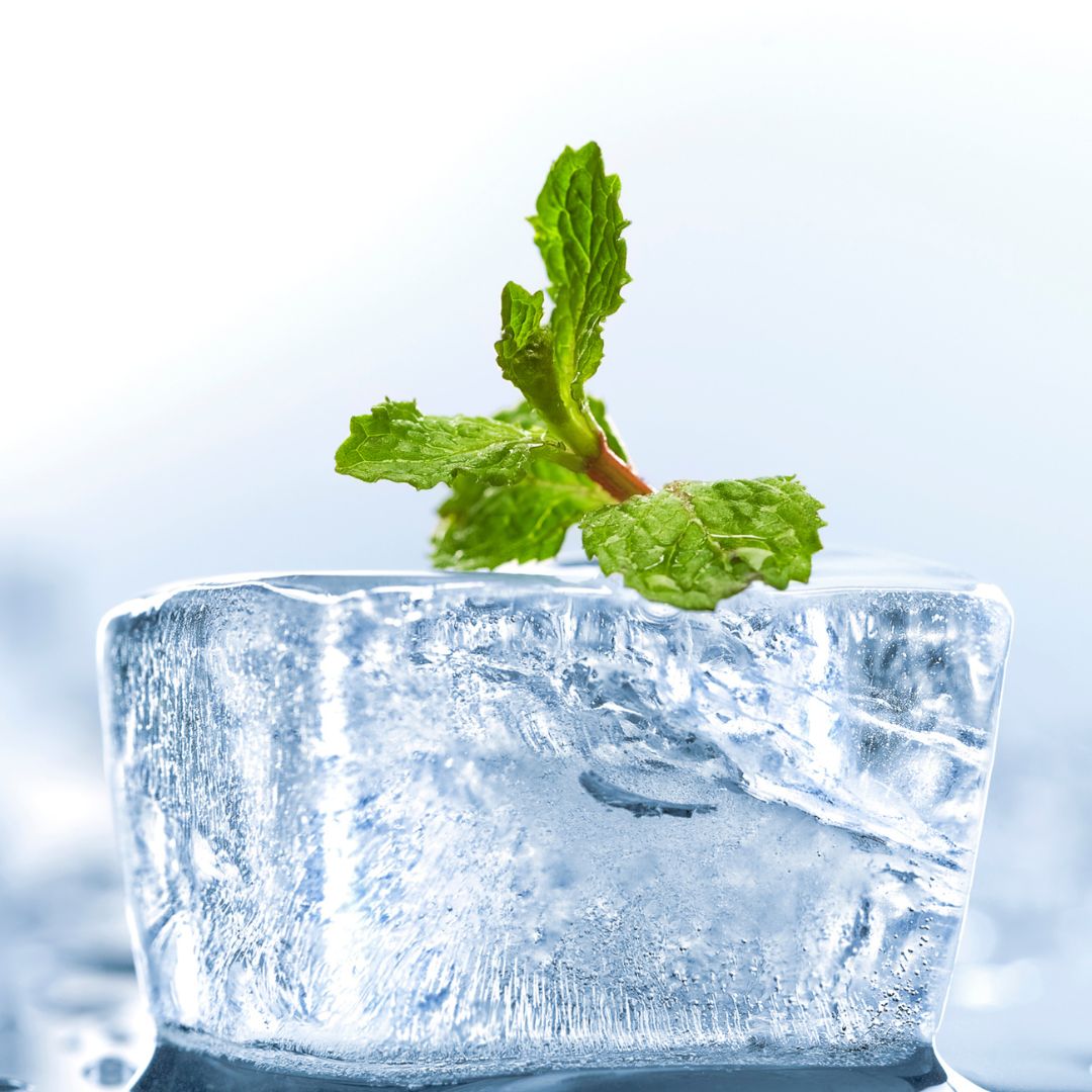 KLINT Freeze Mint 16mg - Pouch Australia