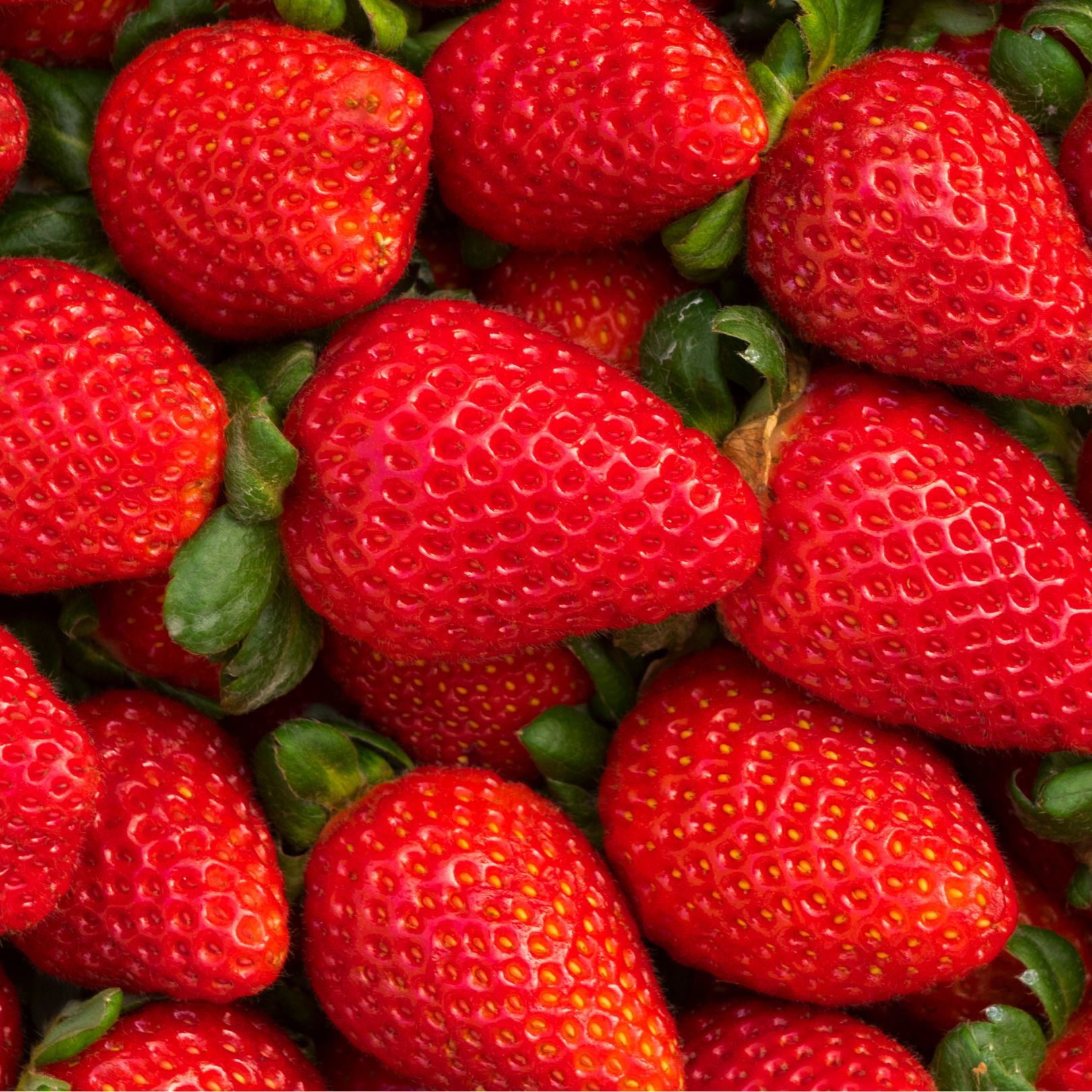 FINK Strawberry 6mg - Pouch Australia